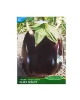 AUBERGINE BLACK BEAUTYSACHET DE 4 GRART 246 offre à 17,9 Dh sur Bricoma