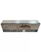 COLLE POUR RATS GLUE FORTE TUBE 135GR offre à 20 Dh sur Bricoma