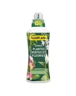 ENGRAIS PLANTE VERTE ET FLEUR 1L offre à 60,5 Dh sur Bricoma