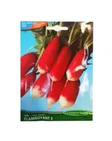 RADIS FLAMBOYANT3 SACHET DE 10 GR ART 348 offre à 17,9 Dh sur Bricoma