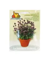 LAVANDE OFFICINALI ART 659" offre à 20,9 Dh sur Bricoma