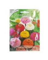 ZINNIA LILLIPUT DOPPIA IN MISCGLIO ART FI612-MAXIFLOR offre à 18,9 Dh sur Bricoma