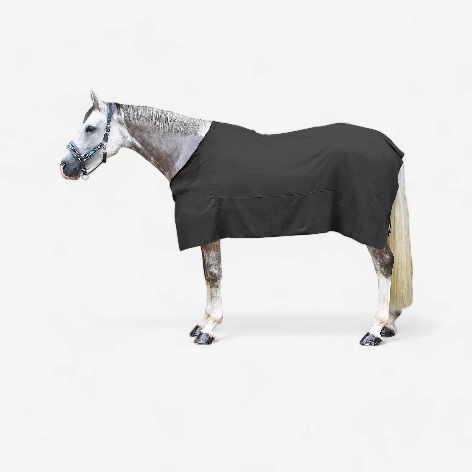 Chemise séchante équitation cheval et poney gris offre à 99 Dh sur Decathlon