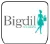 Logo Bigdil