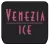 Logo Venezia Ice